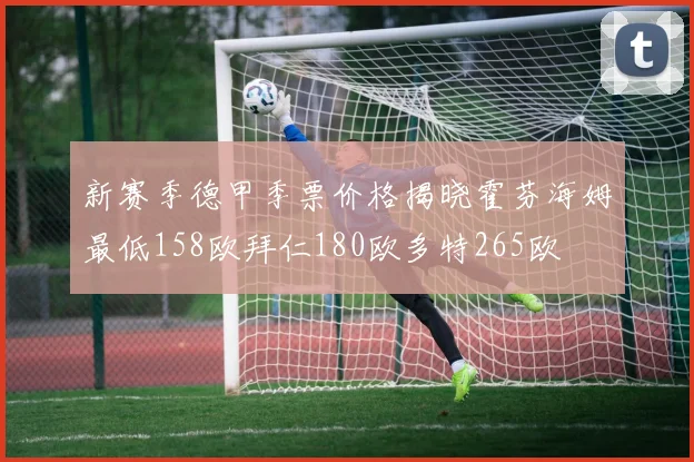 新赛季德甲季票价格揭晓霍芬海姆最低158欧拜仁180欧多特265欧