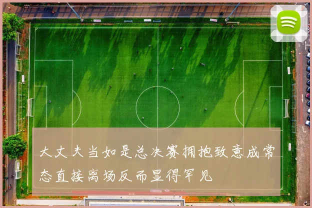 大丈夫当如是总决赛拥抱致意成常态直接离场反而显得罕见